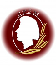 Logo Szkoły Czcionka 1